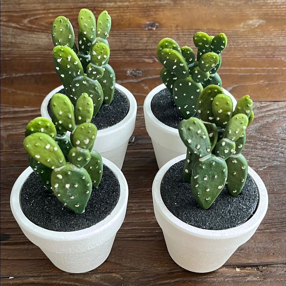 Set of 4 Artificial Cactus Plants in White Pots
